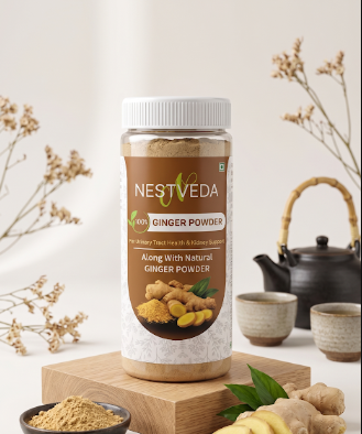 NESTVEDA Ginger Powder | 100% Pure Ginger Powder